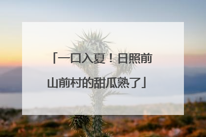 一口入夏！日照前山前村的甜瓜熟了