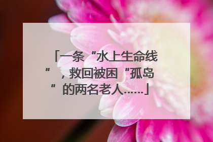 一条“水上生命线”，救回被困“孤岛”的两名老人……