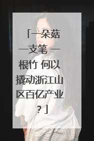 一朵菇 一支笔 一根竹 何以撬动浙江山区百亿产业？