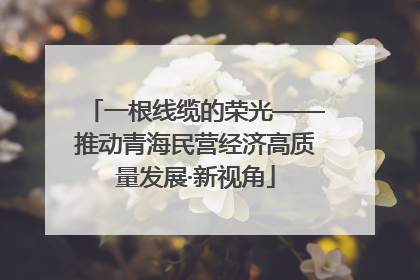 一根线缆的荣光——推动青海民营经济高质量发展·新视角