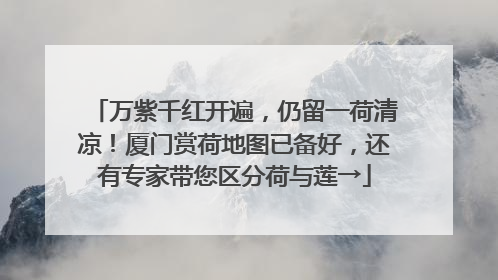 万紫千红开遍，仍留一荷清凉！厦门赏荷地图已备好，还有专家带您区分荷与莲→