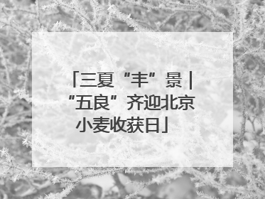 三夏“丰”景｜“五良”齐迎北京小麦收获日