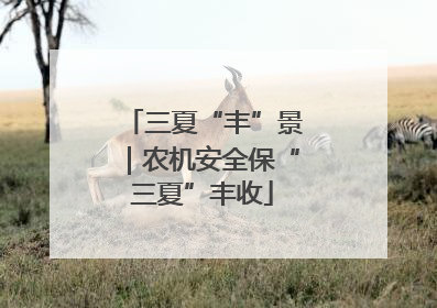 三夏“丰”景｜农机安全保“三夏”丰收