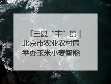 三夏“丰”景｜北京市农业农村局举办玉米小麦智能农机装备推广“田间日”活动
