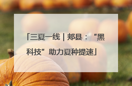 三夏一线｜郏县：“黑科技”助力夏种提速