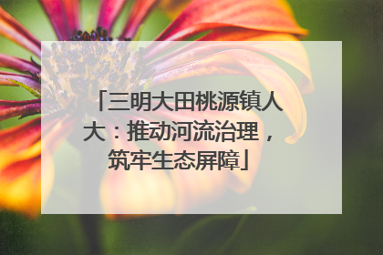 三明大田桃源镇人大：推动河流治理，筑牢生态屏障