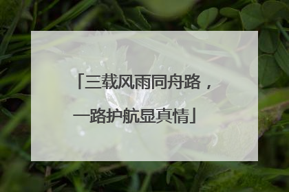 三载风雨同舟路，一路护航显真情