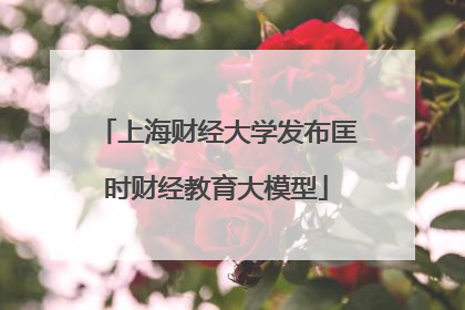 上海财经大学发布匡时财经教育大模型