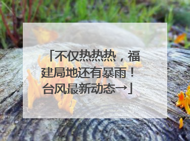 不仅热热热，福建局地还有暴雨！台风最新动态→