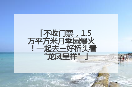 不收门票，1.5万平方米月季园爆火！一起去三好桥头看“龙凤呈祥”
