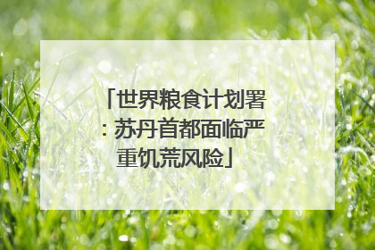 世界粮食计划署：苏丹首都面临严重饥荒风险