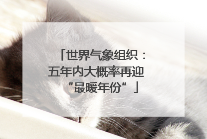 世界气象组织：五年内大概率再迎“最暖年份”