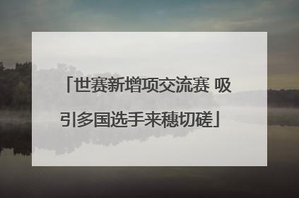 世赛新增项交流赛 吸引多国选手来穗切磋