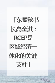 东盟秘书长高金洪：RCEP是区域经济一体化的关键支柱