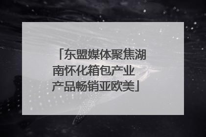 东盟媒体聚焦湖南怀化箱包产业 产品畅销亚欧美