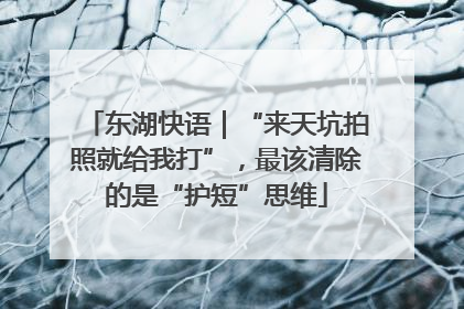 东湖快语｜“来天坑拍照就给我打”，最该清除的是“护短”思维