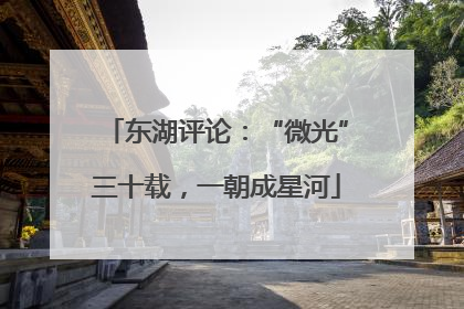 东湖评论：“微光”三十载，一朝成星河