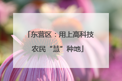 东营区：用上高科技 农民“慧”种地
