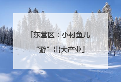 东营区：小村鱼儿“游”出大产业