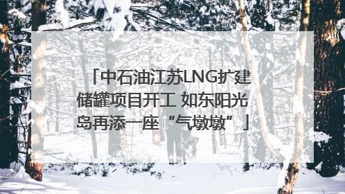中石油江苏LNG扩建储罐项目开工 如东阳光岛再添一座“气墩墩”