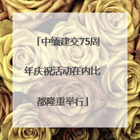 中缅建交75周年庆祝活动在内比都隆重举行