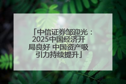 中信证券邹迎光：2025中国经济开局良好 中国资产吸引力持续提升