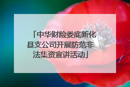 中华财险娄底新化县支公司开展防范非法集资宣讲活动
