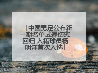 中国男足公布新一期名单武磊伤愈回归 入籍球员杨明洋首次入选