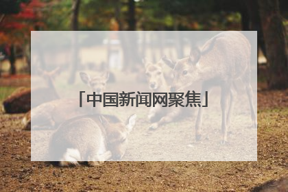 中国新闻网聚焦