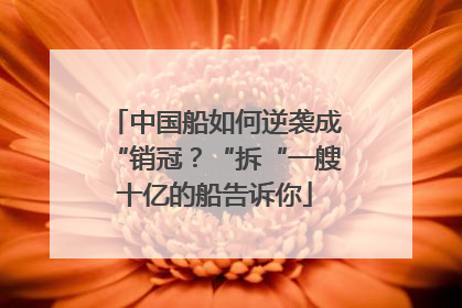 中国船如何逆袭成“销冠？“拆“一艘十亿的船告诉你