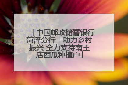 中国邮政储蓄银行菏泽分行：助力乡村振兴 全力支持南王店西瓜种植户