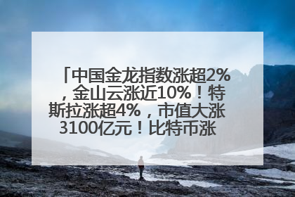 中国金龙指数涨超2%，金山云涨近10%！特斯拉涨超4%，市值大涨3100亿元！比特币涨回11万美元关口