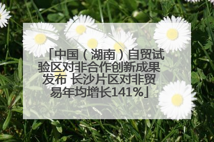 中国（湖南）自贸试验区对非合作创新成果发布 长沙片区对非贸易年均增长141%