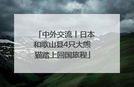 中外交流丨日本和歌山县4只大熊猫踏上回国旅程