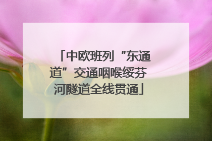 中欧班列“东通道”交通咽喉绥芬河隧道全线贯通