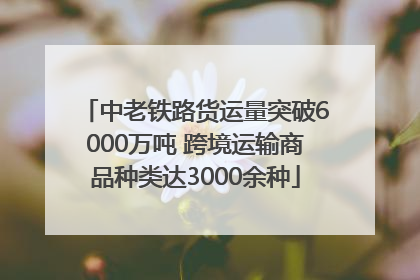 中老铁路货运量突破6000万吨 跨境运输商品种类达3000余种