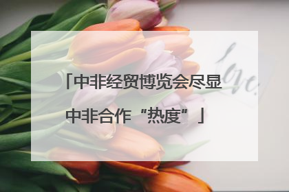 中非经贸博览会尽显中非合作“热度”