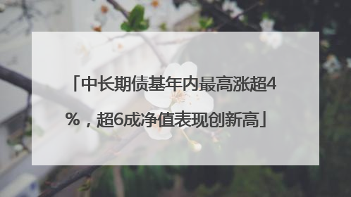 中长期债基年内最高涨超4%，超6成净值表现创新高