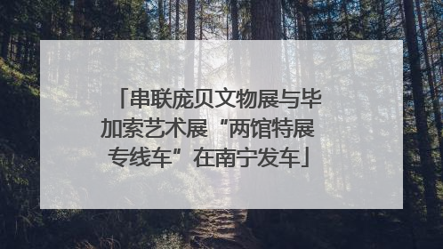 串联庞贝文物展与毕加索艺术展“两馆特展专线车”在南宁发车