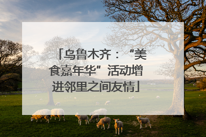 乌鲁木齐：“美食嘉年华”活动增进邻里之间友情