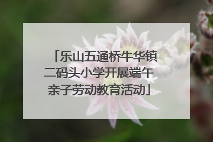 乐山五通桥牛华镇二码头小学开展端午亲子劳动教育活动