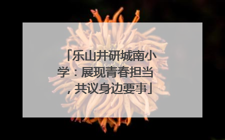 乐山井研城南小学：展现青春担当，共议身边要事