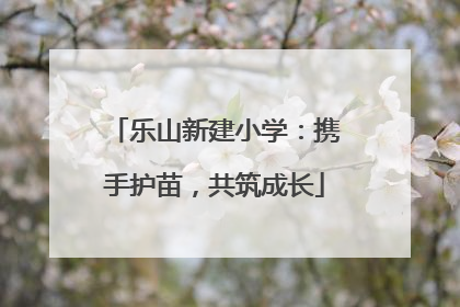 乐山新建小学：携手护苗，共筑成长