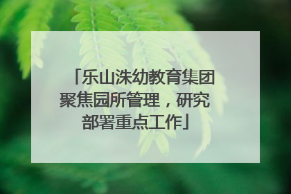 乐山洙幼教育集团聚焦园所管理，研究部署重点工作