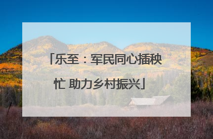 乐至：军民同心插秧忙 助力乡村振兴