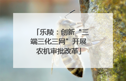 乐陵：创新“三端三化三网”开展农机审批改革