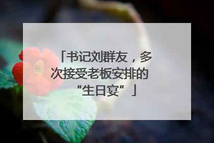 书记刘群友，多次接受老板安排的“生日宴”