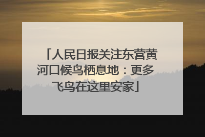 人民日报关注东营黄河口候鸟栖息地：更多飞鸟在这里安家