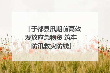 于都县汛期前高效发放应急物资 筑牢防汛救灾防线