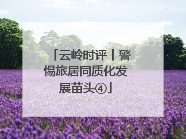 云岭时评丨警惕旅居同质化发展苗头④